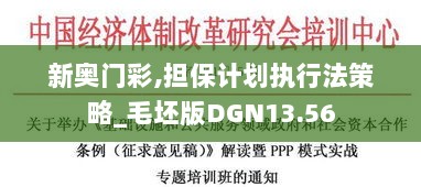 新奥门彩,担保计划执行法策略_毛坯版DGN13.56