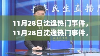 11月28日沈逸热门事件，网络舆论与公共知识分子的责任担当