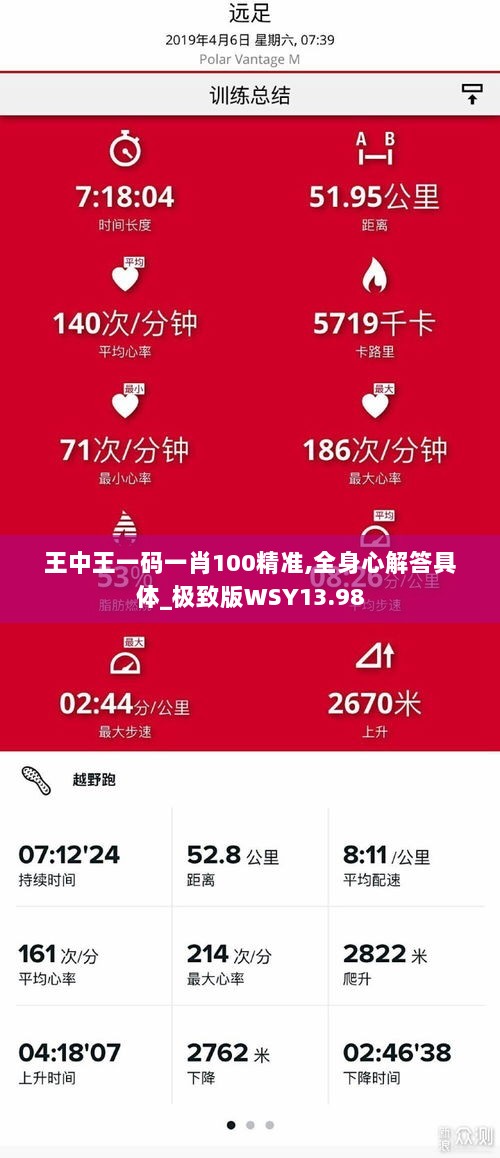 王中王一码一肖100精准,全身心解答具体_极致版WSY13.98