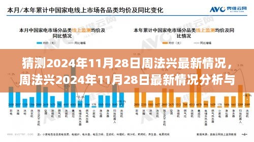 周法兴2024年11月28日最新情况分析与预测步骤指南