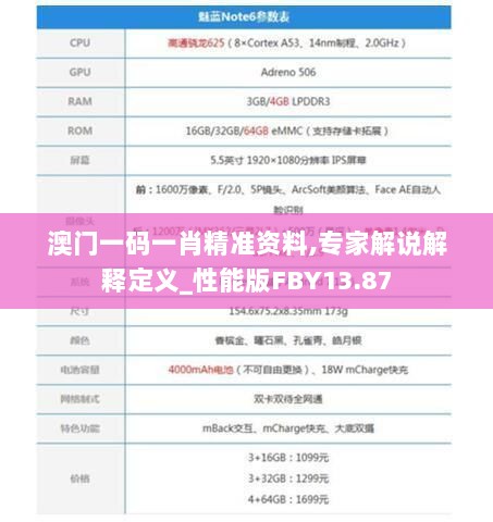 澳门一码一肖精准资料,专家解说解释定义_性能版FBY13.87