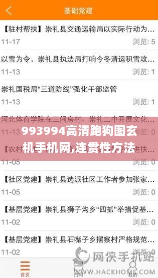 993994高清跑狗图玄机手机网,连贯性方法执行评估_智慧版TVU13.5