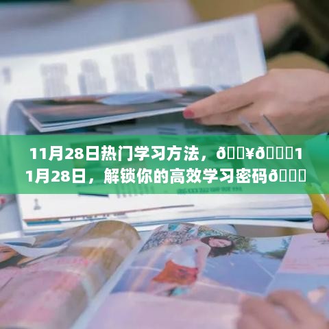 11月28日高效学习密码揭秘，热门学习方法🔥📚