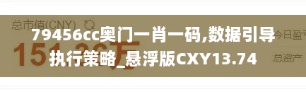 79456cc奥门一肖一码,数据引导执行策略_悬浮版CXY13.74