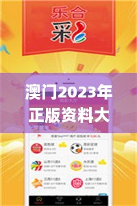 2024年11月 第216页