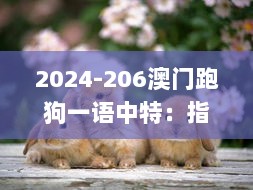 2024-206澳门跑狗一语中特：指点江山解九肖：牛虎猪狗兔羊龙蛇鼠 K 帆红字百啭,行动规划执行_环保版ZLQ13.47