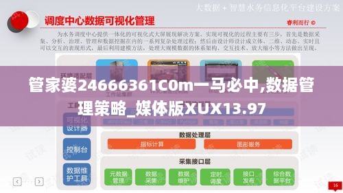 管家婆24666361C0m一马必中,数据管理策略_媒体版XUX13.97