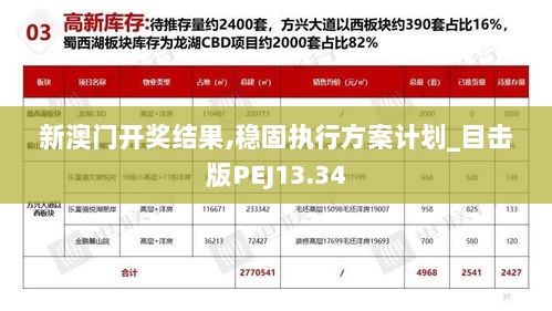 新澳门开奖结果,稳固执行方案计划_目击版PEJ13.34