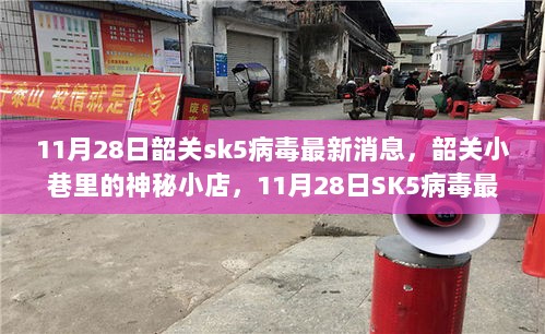 韶关SK5病毒最新消息下的神秘小店与独特美食体验