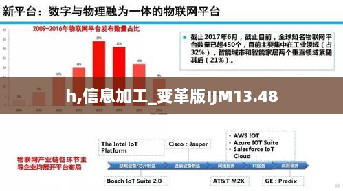 h,信息加工_变革版IJM13.48