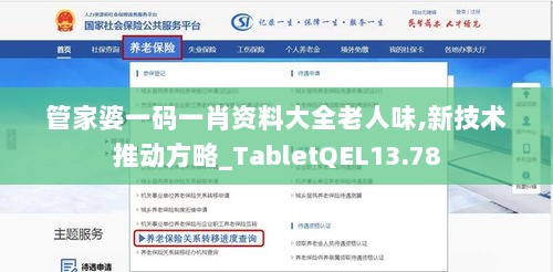 管家婆一码一肖资料大全老人味,新技术推动方略_TabletQEL13.78