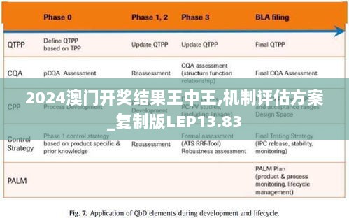 2024澳门开奖结果王中王,机制评估方案_复制版LEP13.83