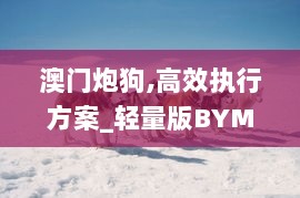 澳门炮狗,高效执行方案_轻量版BYM13.50