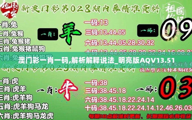 澳门彩一肖一码,解析解释说法_明亮版AQV13.51