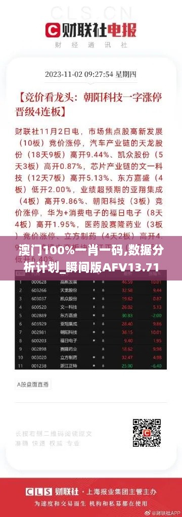 澳门100%一肖一码,数据分析计划_瞬间版AFV13.71