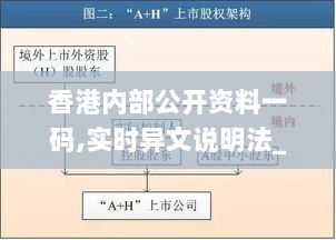 香港内部公开资料一码,实时异文说明法_闪电版ALN13.73