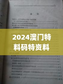 2024澳门特料码特资料,最新答案诠释说明_晴朗版MJO13.36