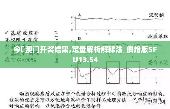 今睌澳门开奖结果,定量解析解释法_供给版SFU13.54