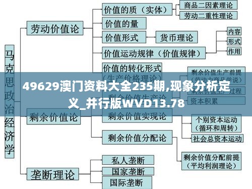 49629澳门资料大全235期,现象分析定义_并行版WVD13.78