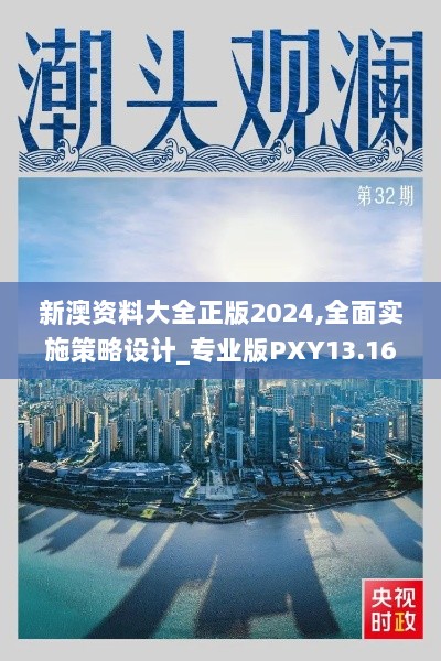 新澳资料大全正版2024,全面实施策略设计_专业版PXY13.16