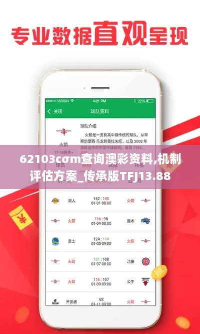 62103cσm查询澳彩资料,机制评估方案_传承版TFJ13.88