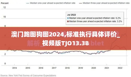 澳门跑图狗图2024,标准执行具体评价_视频版TJO13.38