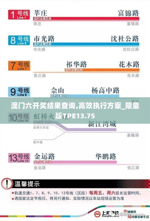 澳门六开奖结果查询,高效执行方案_限量版TPE13.75