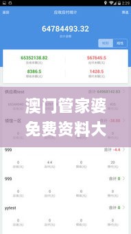 澳门管家婆免费资料大全,全方位数据解析表述_实用版ZDW13.96