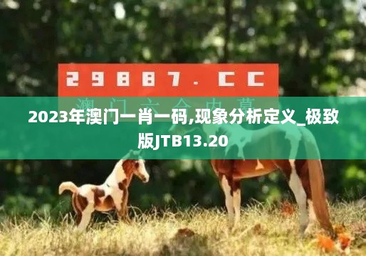 2023年澳门一肖一码,现象分析定义_极致版JTB13.20