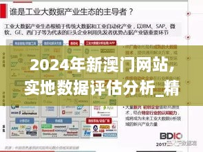 2024年新澳门网站,实地数据评估分析_精致版NKN13.25