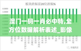 澳门一码一肖必中特,全方位数据解析表述_影像版OBX13.77