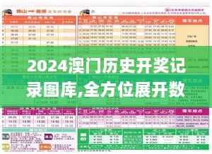 2024澳门历史开奖记录图库,全方位展开数据规划_外观版JDQ13.86