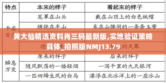 黄大仙精选资料肖三码最新版,实地验证策略具体_拍照版NMJ13.79