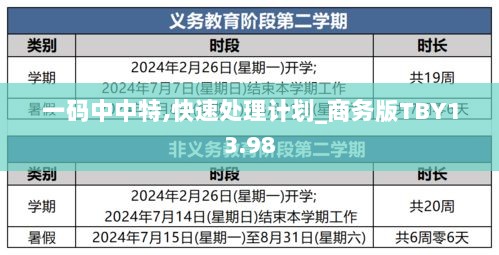 一码中中特,快速处理计划_商务版TBY13.98