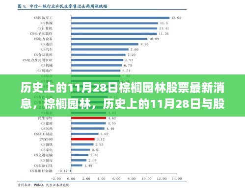 历史上的11月28日，棕榈园林股票最新动态与市场历史回顾