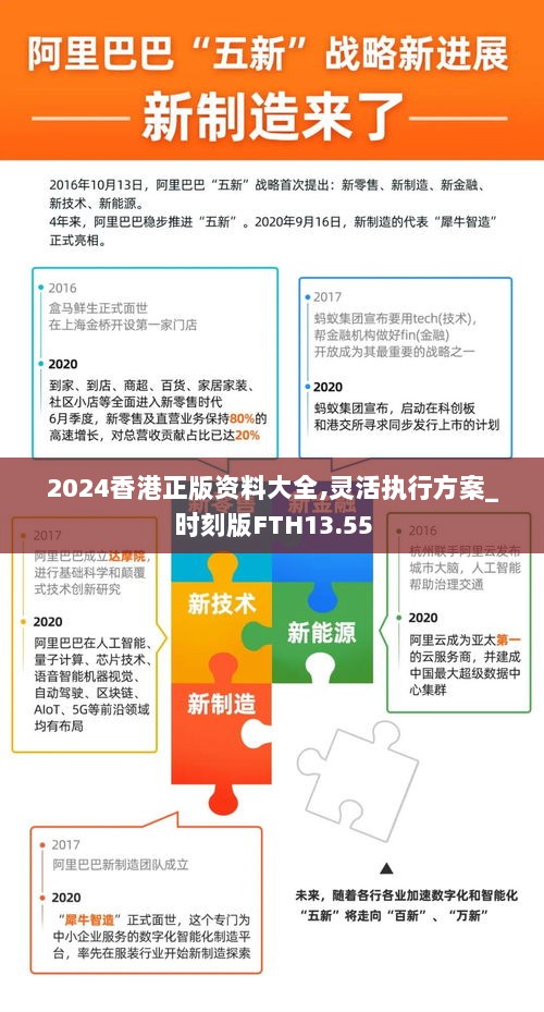 2024香港正版资料大全,灵活执行方案_时刻版FTH13.55