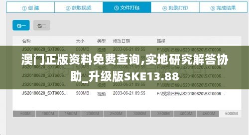 澳门正版资料免费查询,实地研究解答协助_升级版SKE13.88