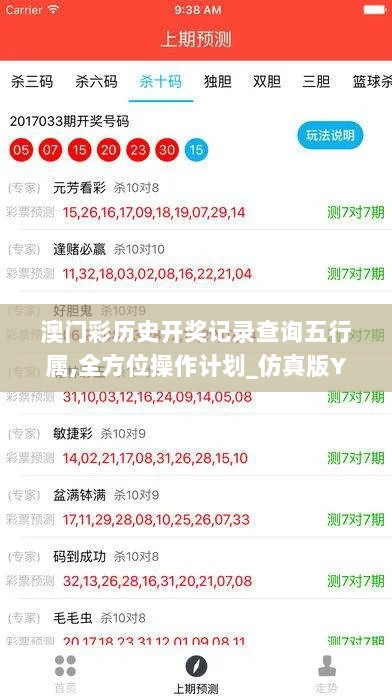 澳门彩历史开奖记录查询五行属,全方位操作计划_仿真版YQO13.47