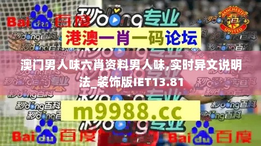 澳门男人味六肖资料男人味,实时异文说明法_装饰版IET13.81