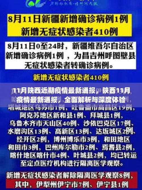 11月陕西疫情最新通报全面解析与深度体验