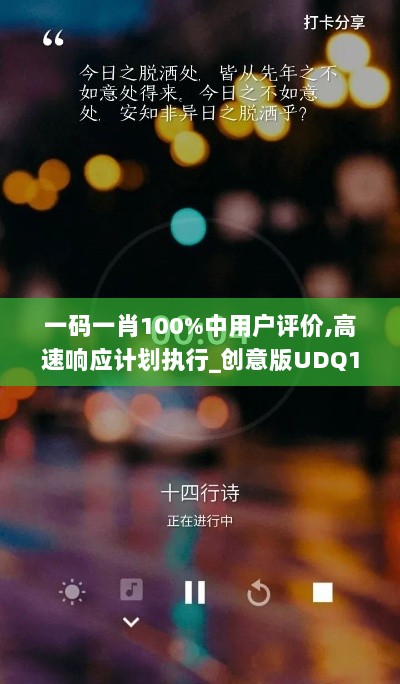 一码一肖100%中用户评价,高速响应计划执行_创意版UDQ13.18