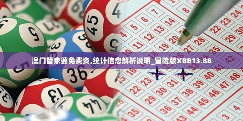 澳门管家婆免费资,统计信息解析说明_冒险版XBB13.88