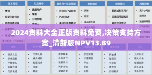 2024资料大全正版资料免费,决策支持方案_清新版NPV13.89