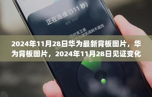 2024年11月28日华为最新背板图片，见证变化的力量