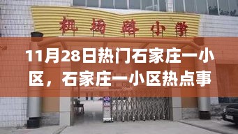 石家庄一小区社区管理与居民权益平衡的热点事件分析