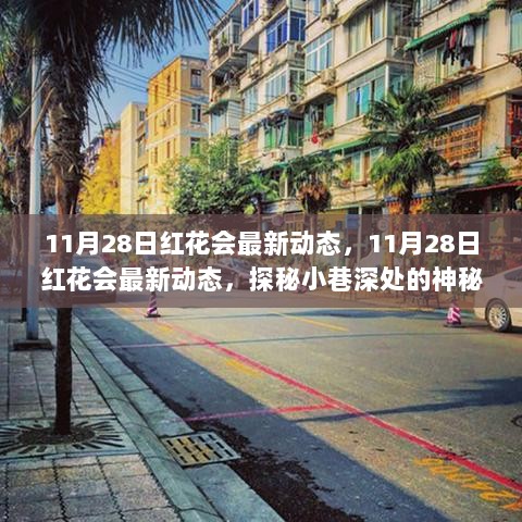 11月28日红花会神秘美食小店探秘，小巷深处的独特风味