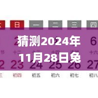 2024年11月28日兔区app最新版使用指南，从入门到精通的全面解析