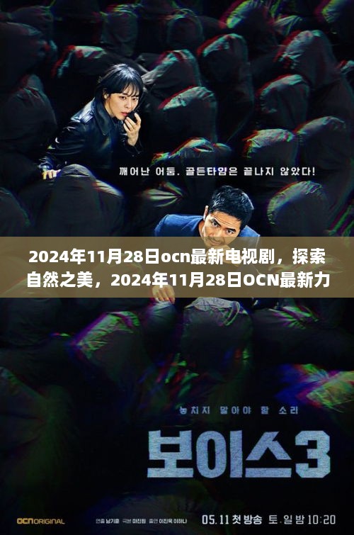 2024年OCN最新力作，探索自然之美，共赴心灵之旅