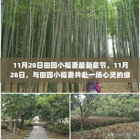 11月28日绿野仙踪之田园小福妻最新章节