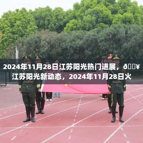 江苏阳光2024年11月28日最新进展揭秘